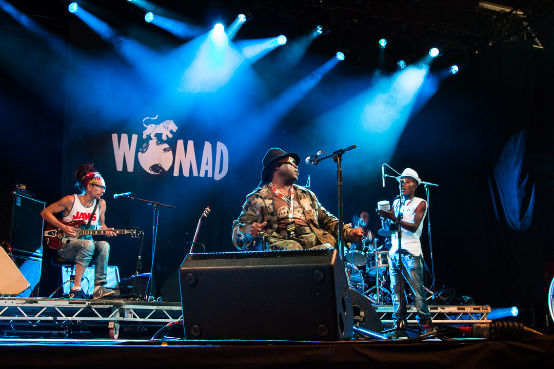 Womad Bath Event Photography